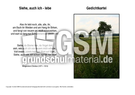 Siehe-auch-ich-lebe-Morgenstern.pdf